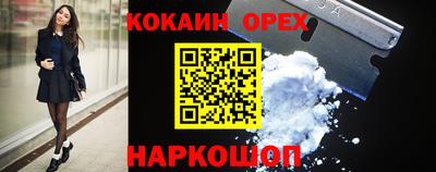 крисы Можга