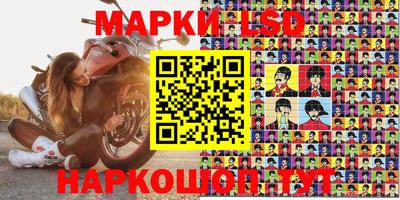 крисы Можга