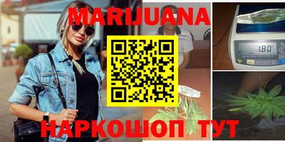 крисы Можга