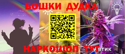 PSILOCYBIN Моздок