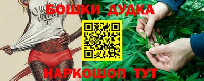 PSILOCYBIN Моздок
