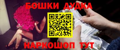 крисы Можга