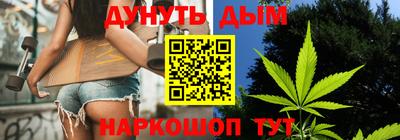 крисы Можга