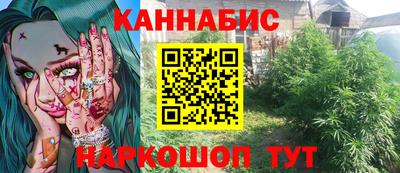 крисы Можга