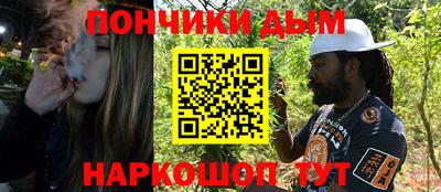 крисы Можга