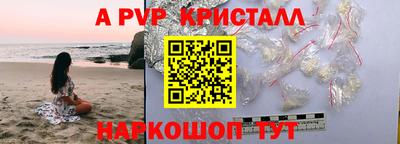 крисы Можга