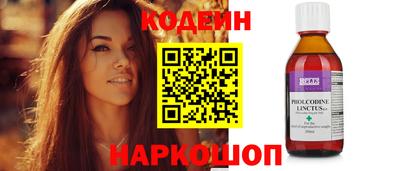 крисы Можга