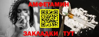 крисы Можга