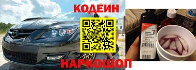 крисы Можга