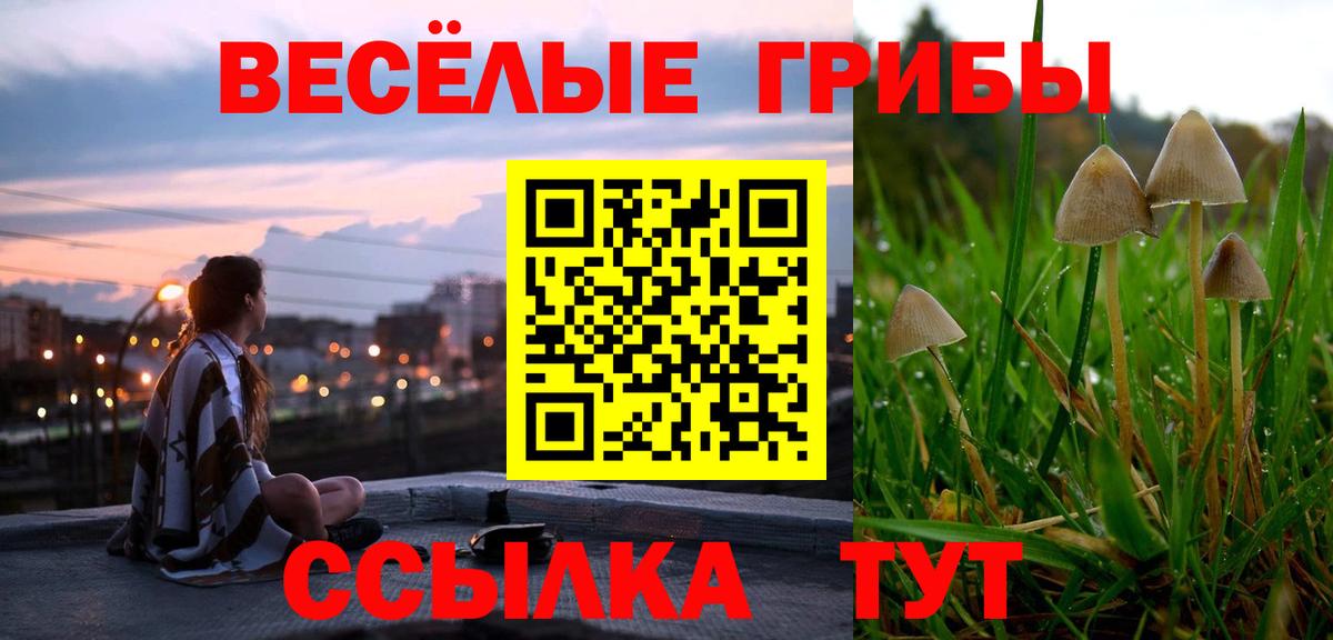 Тавда  продажа наркотиков  Вход с VPN  Псилоцибиновые грибы мицелий 